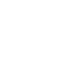 MT Logo white transparent